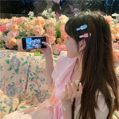 胭脂虎新传